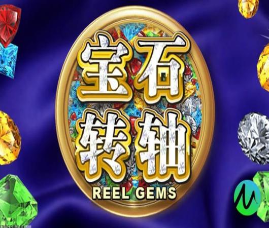 厨师猫